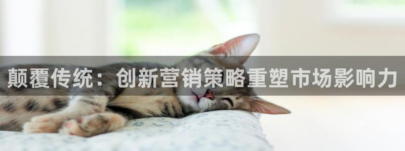 必赢平台官方网站登录