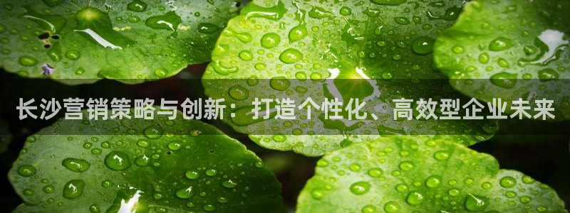 必赢官网网址多少号登录的
