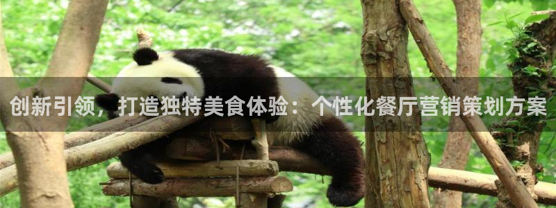 必赢手机版：创新引领，打造独特